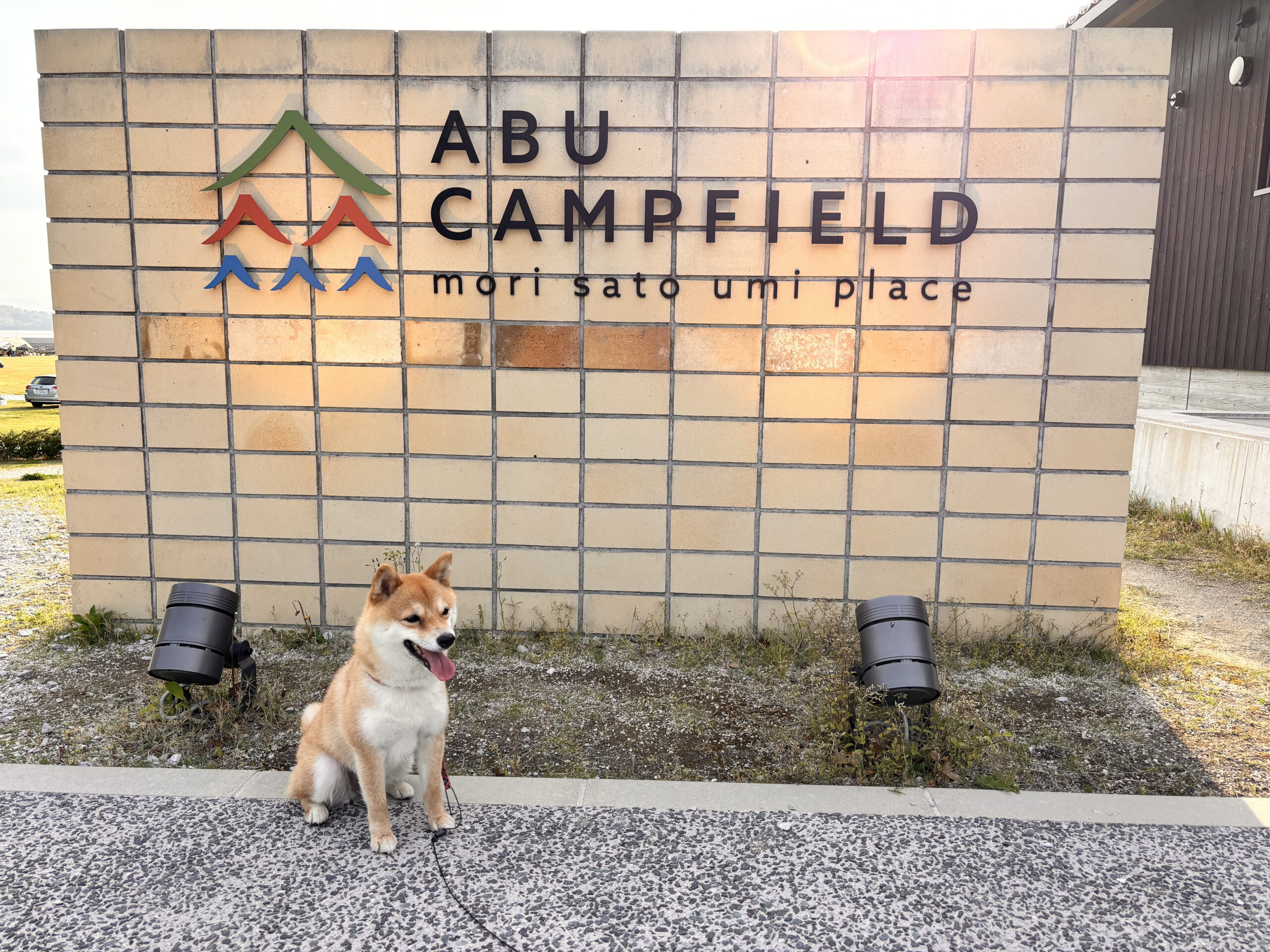 ABU CAMPFIELD
